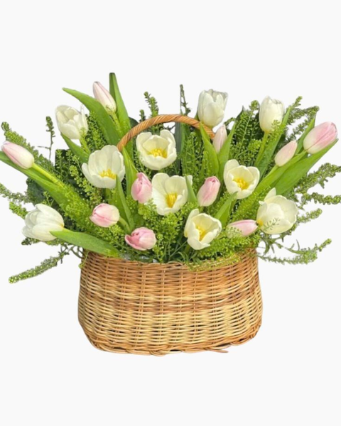 Hoa Tulip: Giỏ Hoa Tươi Tulip Mix Màu - HG63