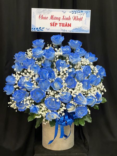 Hộp Hoa Tươi: Hộp Hoa Xanh Lam - HH161
