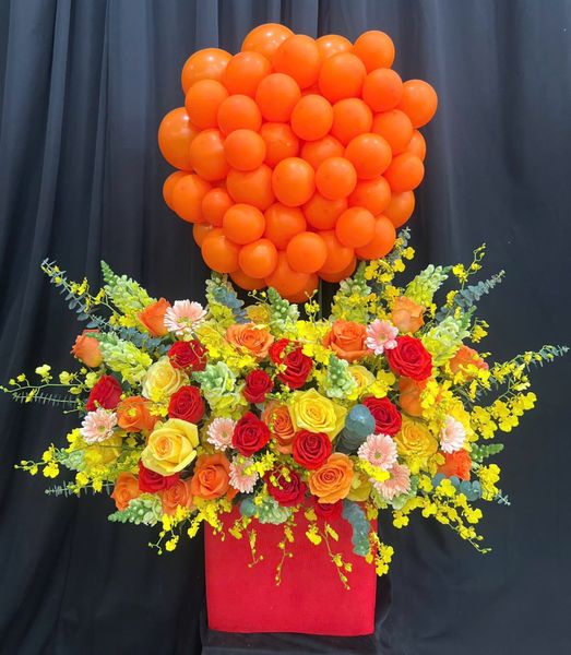 Hoa Và Bong Bóng: Hoa Tình Bóng Cam  - HBB13