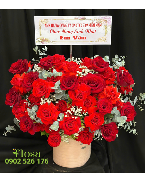 Hộp Hoa Tươi: Hộp Hoa Hồng Đỏ Thuần  - HH119