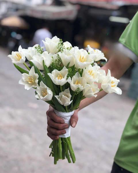 Hoa Cưới: Bó Hoa Cưới Cầm Tay Tulip Trắng - HC29