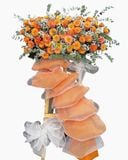  Kệ Hoa Khai Trương Thành Công Rực Cháy - HCM72 