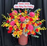  Hoa Hộp Rực Rỡ Thành Công - HH226 