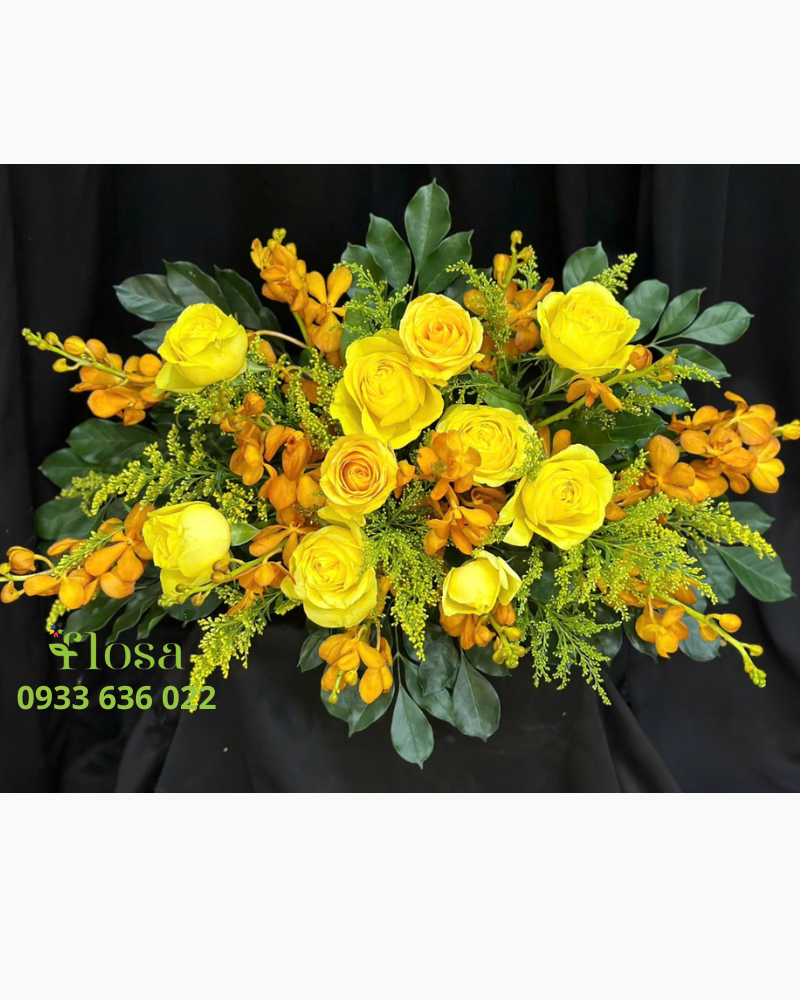  Sắc Vàng Tương Tư - Ovan 27 