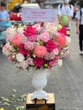  Bình Hoa Sắc Hồng - HCB90 