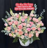  Hoa Hộp Khởi Đầu Rực Rỡ - HH219 