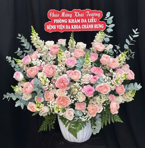 Hộp Hoa Tươi: Hoa Hộp Khởi Đầu Rực Rỡ - HH219