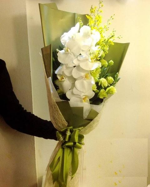 Hoa lan hồ điệp cắt cành màu trắng sang trọng.