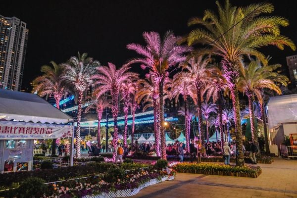 Hàng cây xanh mát rượi
