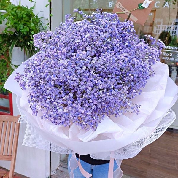 Bó hoa quà tặng violet tím mộng mơ dành tặng bạn gái (Nguồn: Internet)