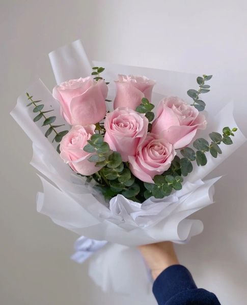 Hoa hồng phấn tượng trưng lời tỏ tình chân thành, sự cảm thông