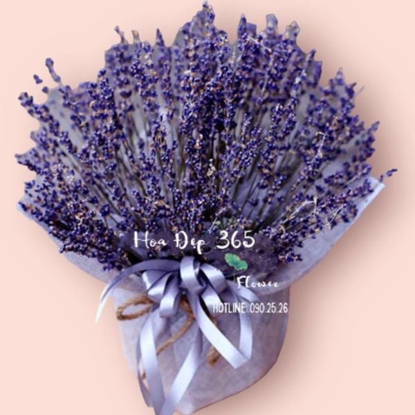Hoa lavender tím xinh đẹp, thơm ngát tặng người yêu 20/10