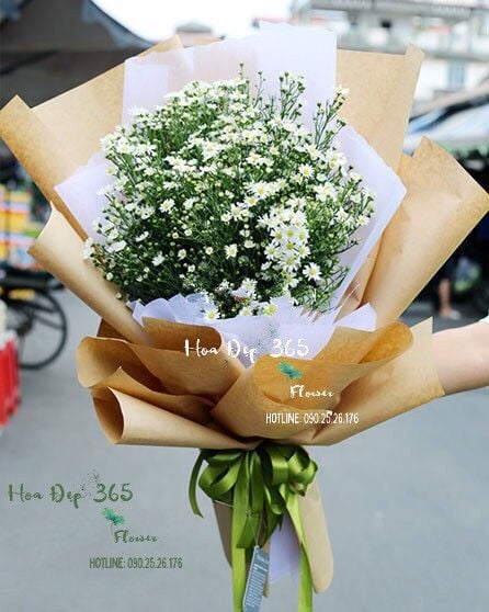 Bó Hoa Thạch Thảo Trắng