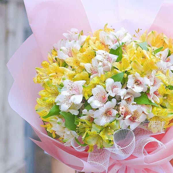 Hoa thủy tiên - biểu tượng của sự tinh khôi và trong trắng.