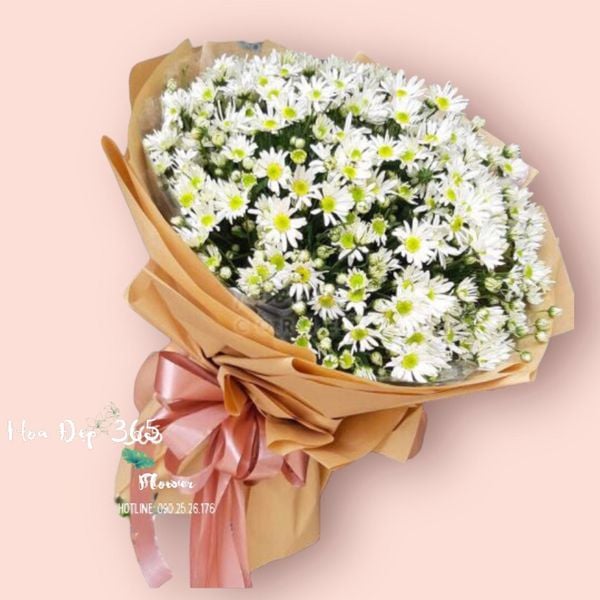 Bó hoa cúc họa mi siêu to - HBT63 tặng sếp ngày 20/10