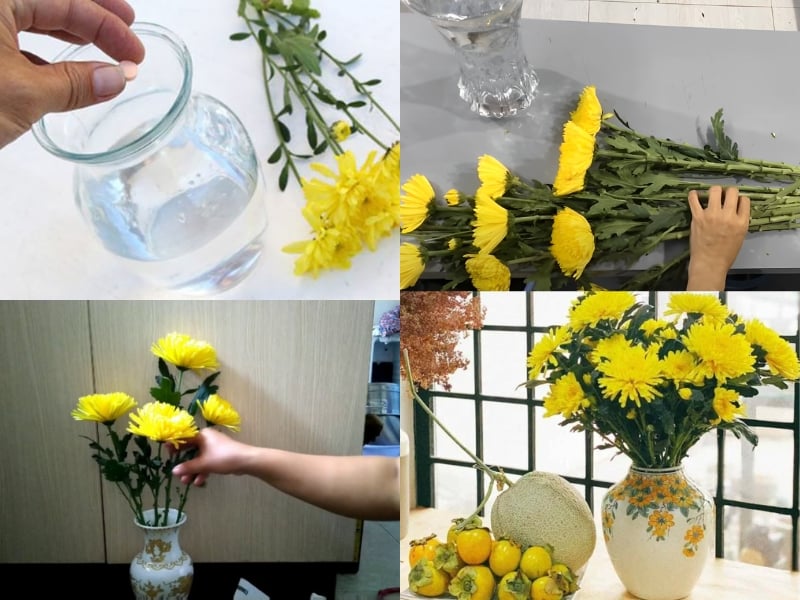 Cách cắm hoa cúc 10 bông đơn giản mà đẹp