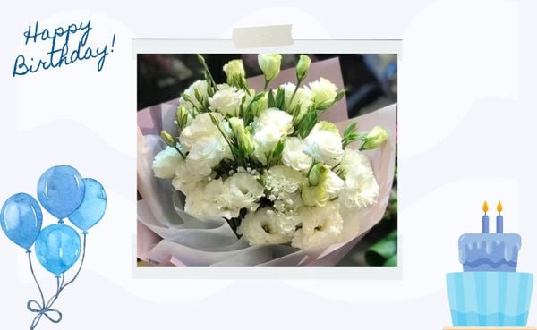 Bó Hoa Cát Tường - HBD90 thích hợp tặng dịp sinh nhật