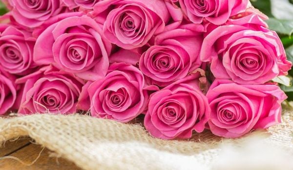 Thêm một mẫu hoa hồng màu hồng đậm ấn tượng tặng bạn gái
