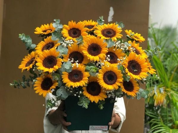 lẵng hoa sinh nhật hướng dương