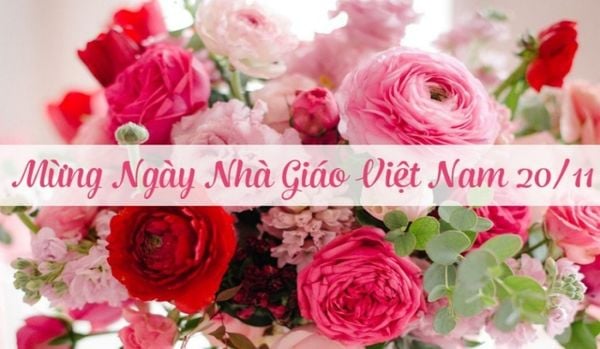 Những bài thơ hay miêu tả thầy cô nhân ngày 20/11