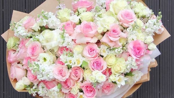 Hoa hồng trắng và hồng hồng mang ý nghĩa về hạnh phúc, sự vui vẻ và sự đoàn viên.