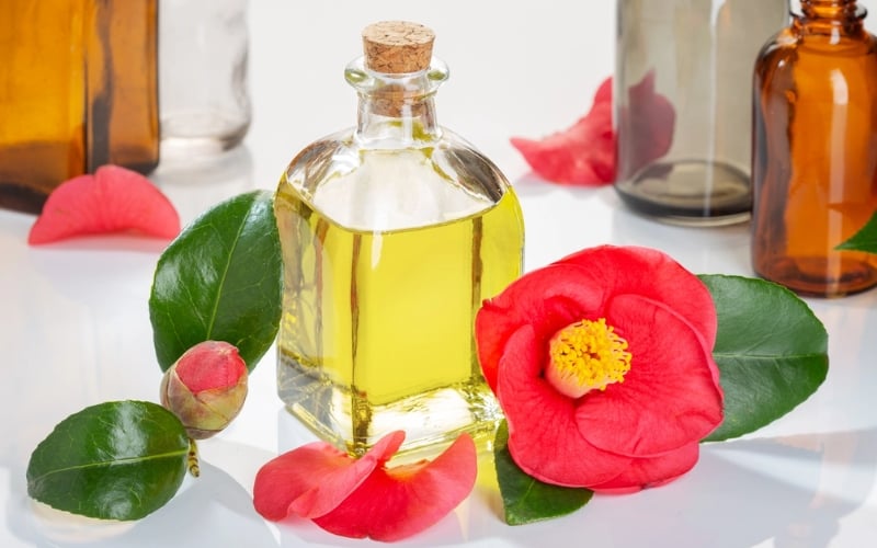 Tinh dầu hoa sơn trà