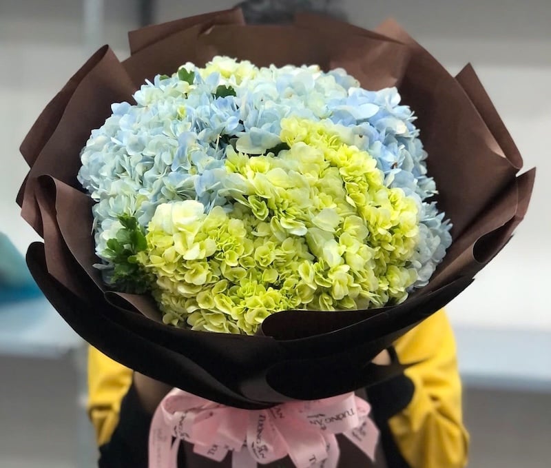 Bó Hoa Cẩm Tú Cầu - HBT51