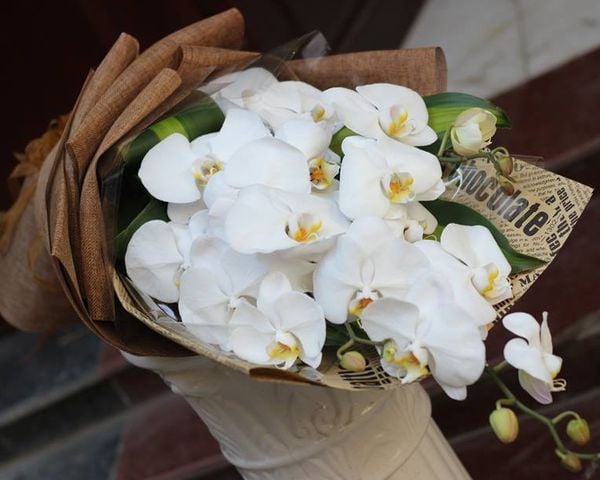 Bó hoa lan hồ điệp trắng tinh khiết