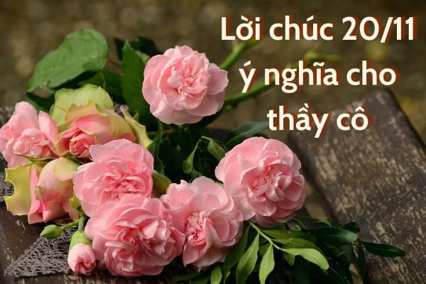 Mỗi lời chúc hôm nay là một đóa hoa 20/11 ý nghĩa, gửi đến thầy cô với tất cả yêu thương (Nguồn: Internet)